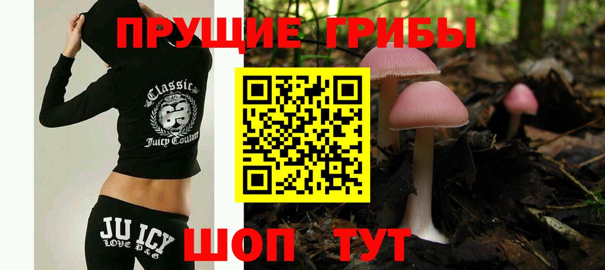 Псилоцибиновые грибы Psilocybine cubensis Комсомольск-на-Амуре